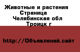  Животные и растения - Страница 10 . Челябинская обл.,Троицк г.